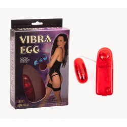Vibra Egg